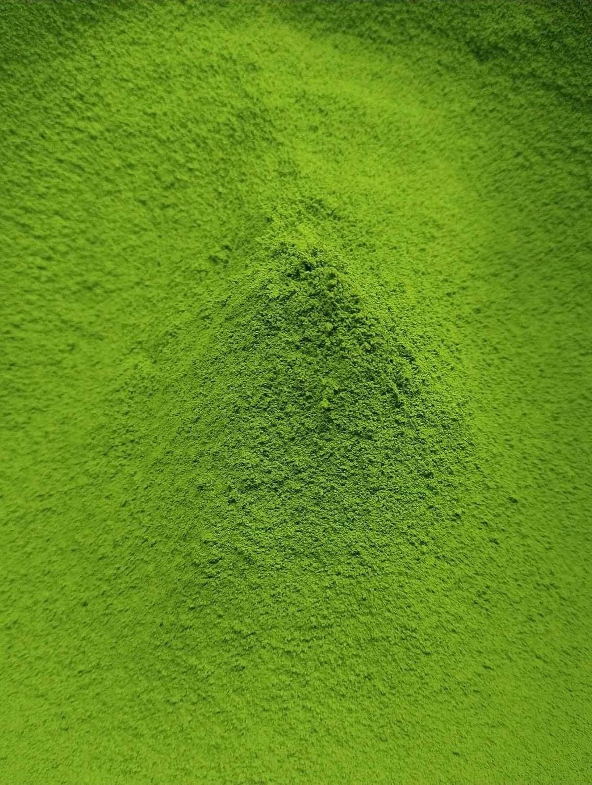 Matcha Wakaki Shiro 20g Box by Ippodo Tea – Premium Light & Refreshing Uji Matcha from Kyoto | Gentle Umami, Clean Finish, Low Bitterness & Everyday Drinkability