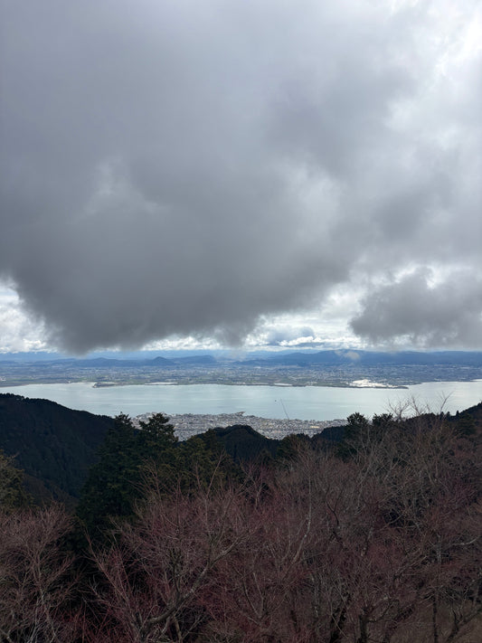 The Ocean and the Tea Leaf
