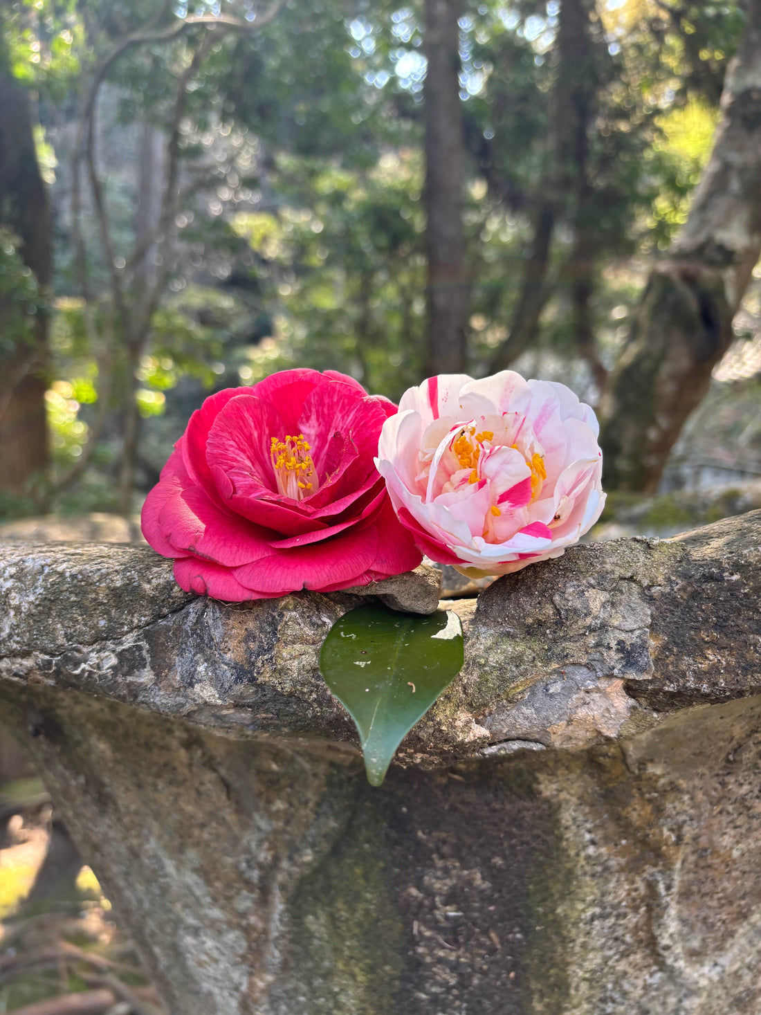 The principle for flowers