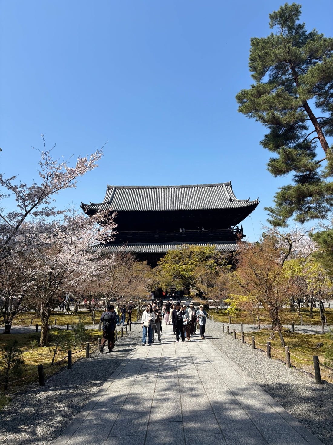 Nanzen-ji Temple🌸