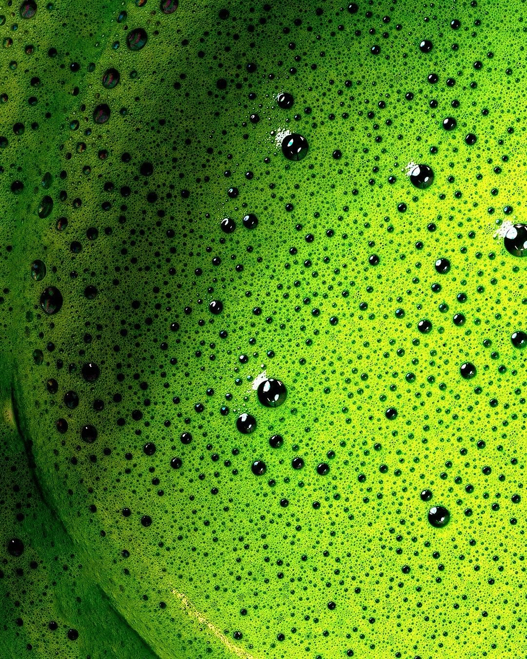The Cold Brew Hack