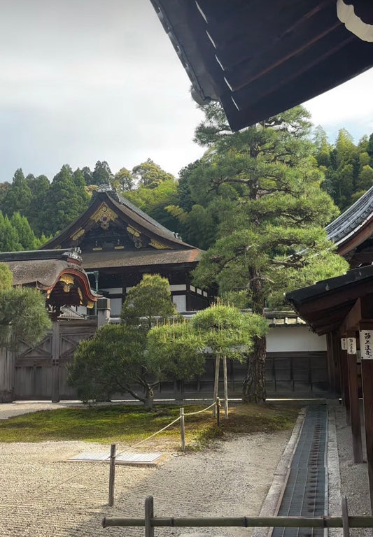 a beautiful tradition called Sencha-dō