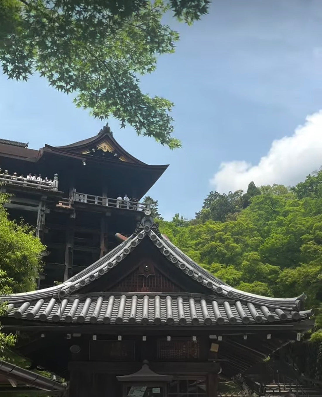 Stage of Kiyomizu-dera
