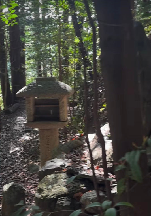 Why did nature worship even begin?