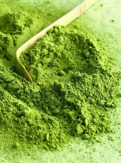 Matcha Hatsu Mukashi 20g Box by Ippodo Tea – Premium Entry-Level Uji Matcha from Kyoto | Light & Refreshing, Gentle Umami, Clean Finish & Everyday Drinkability