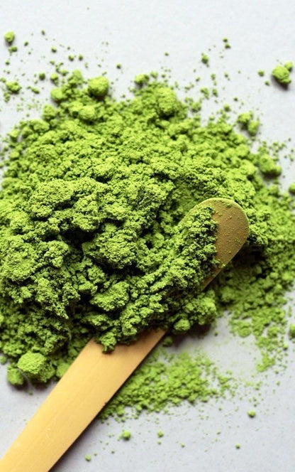 Ikuyo no Mukashi Matcha 20g Tin (0.71oz) by Ippodo Tea – Premium Usucha Grade Matcha from Kyoto | Refined Gentle Umami, Clean Elegant Aroma, Silky Smooth for Daily Tea & Ceremony Practice