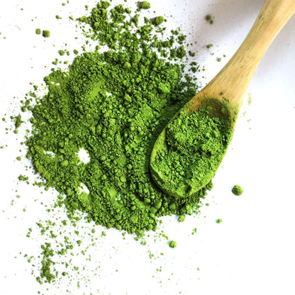 Matcha Fuji no Shiro 30g (1.06 oz) Tin by Nakamura Tokichi Honten – Premium Uji-Style Matcha from Kyoto | Gentle Bitterness, Refreshing Finish, Versatile for Usucha, Lattes & Confectionery