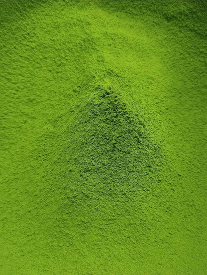 Matcha Wakaki Shiro 20g Box by Ippodo Tea – Premium Light & Refreshing Uji Matcha from Kyoto | Gentle Umami, Clean Finish, Low Bitterness & Everyday Drinkability