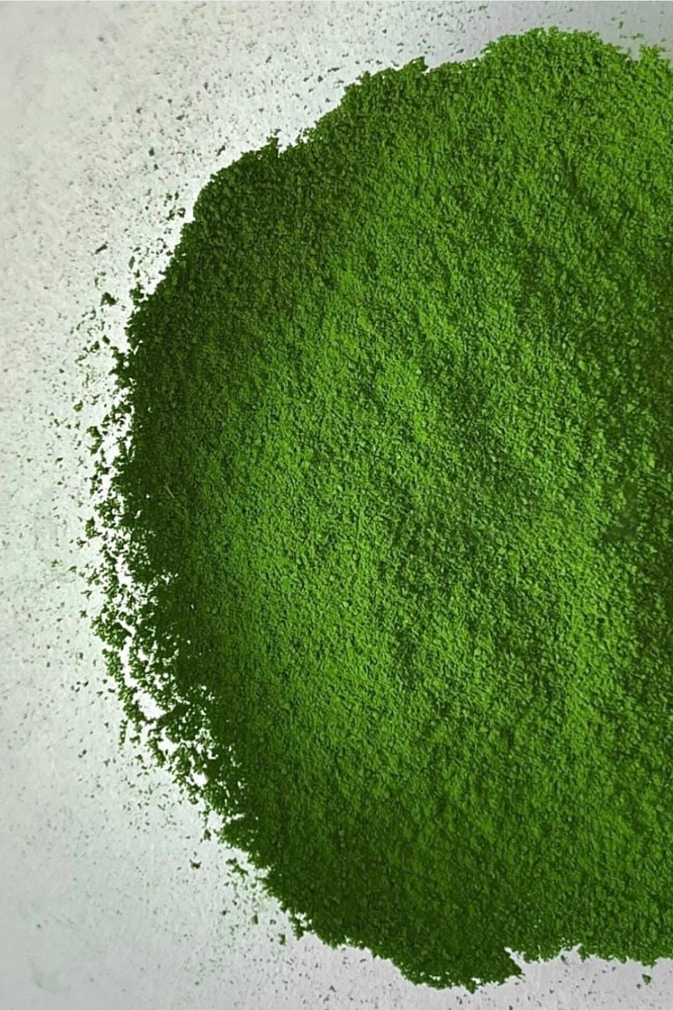 Hoshi no Tsuyu Matcha 20g(0.71oz)by Hoshino Seichaen – Premium Yame Matcha from Historic Hoshino Village, Fukuoka | Balanced Everyday Thin Tea & Light Ceremonial Use